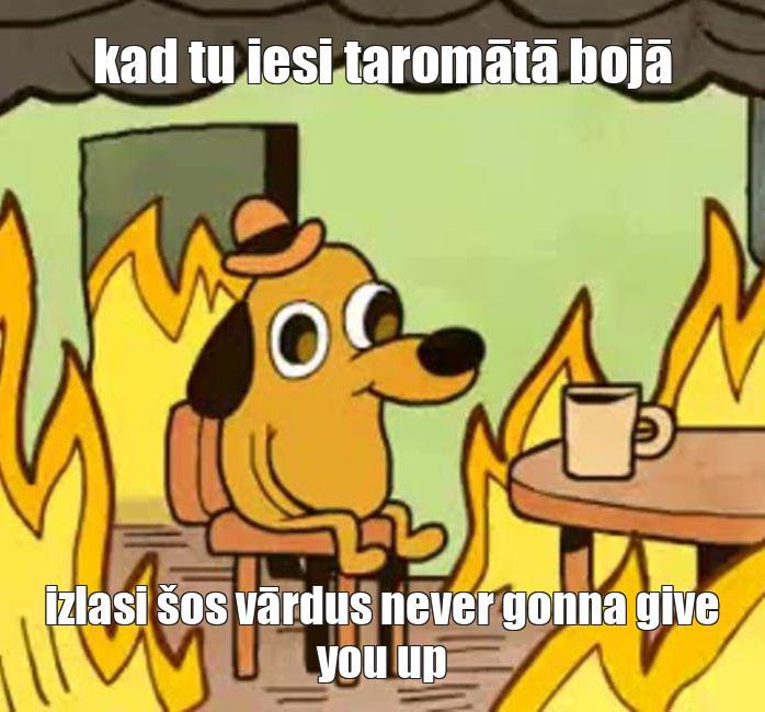  Autors: Madona12 Memes