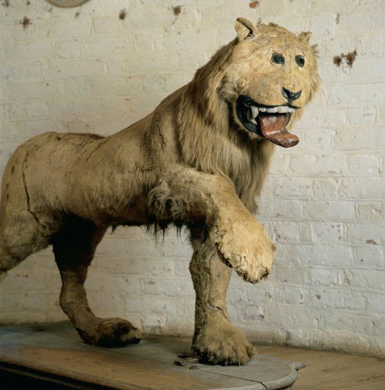 Gripsholmas lauva ir 18... Autors: Zibenzellis69 17 senākie artefakti, kas paver noslēpumainības plīvuru un stāsta par pagātni