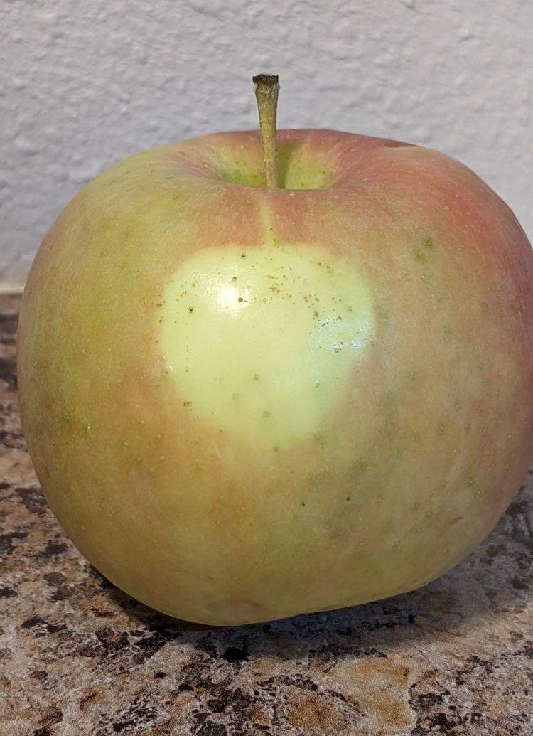 Uz tā ābola ir ābolsInternetā... Autors: Zibenzellis69 17 ārkārtīgi retas sakritības, kas liek noticēt, ka dzīvē viss nav nejaušs