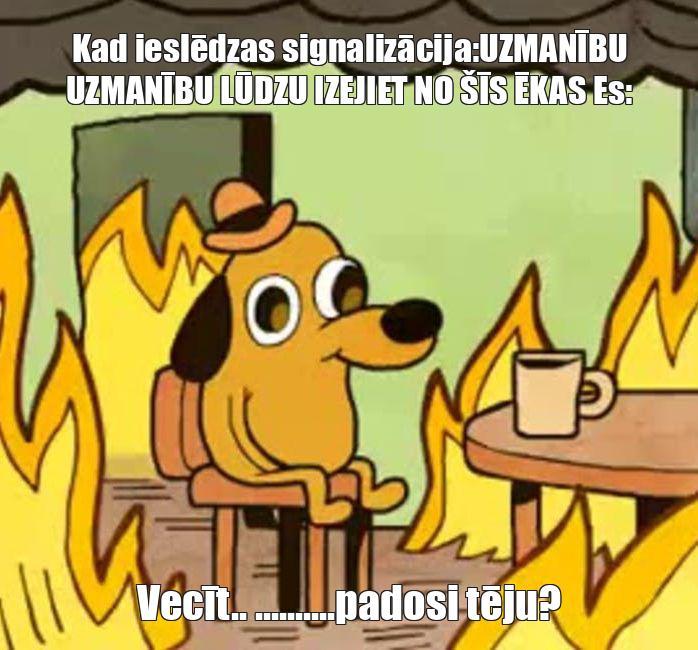  Autors: zaluzinskadiana@gmail.com Memes