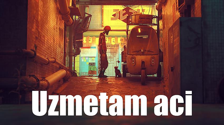 Uzmetam aci: Stray – Vai es gribu turpināt?