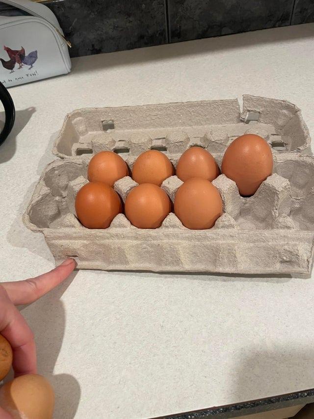 Visas scaronīs olas dēja viena... Autors: Zibenzellis69 Šīs fotogrāfijas pierāda, cik pārsteidzoši neparastas  var būt pat vistu olas