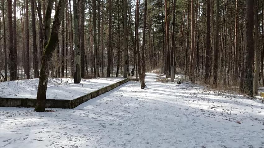 Ja vasarā ārā ir pa karstu, tad šī video pastaiga pa mežu ziemā var atvēsināt