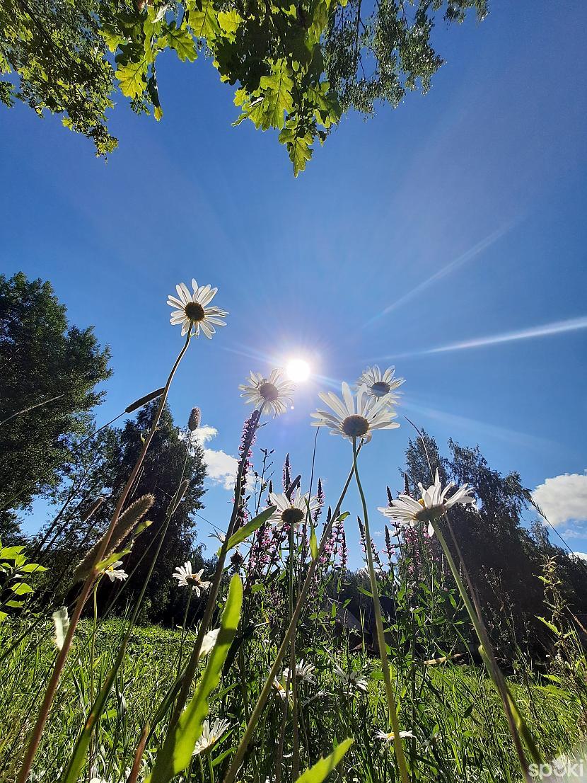  Autors: flower.yoy Ir jāmācās