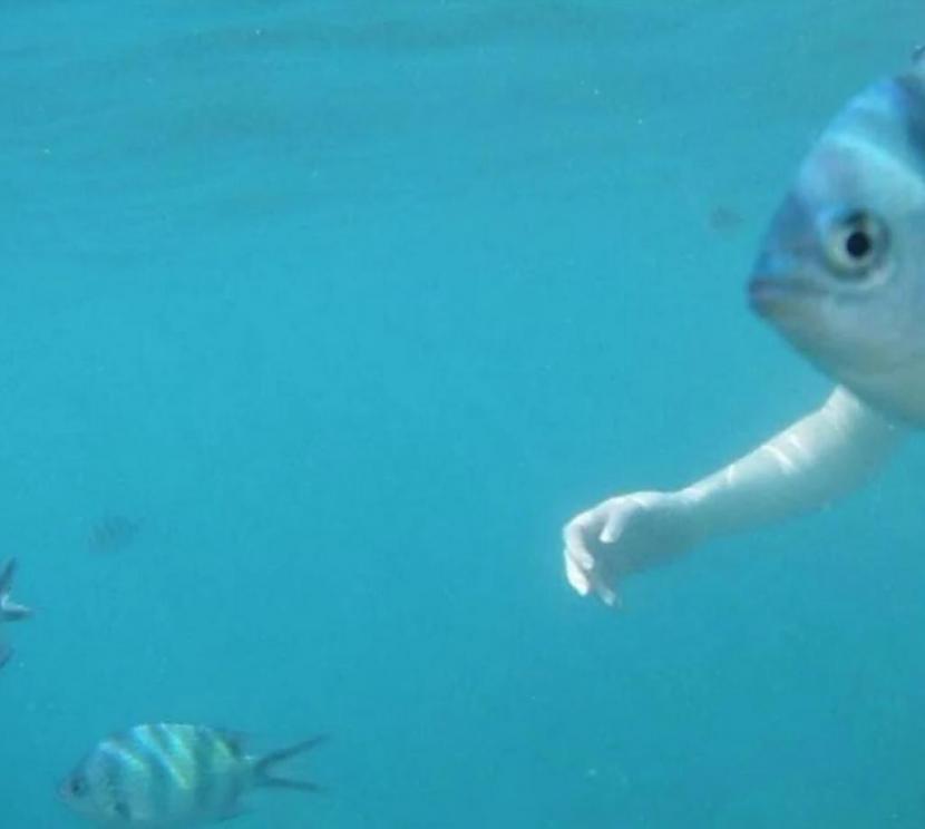 Un scaroneit pie zivīm baseinā... Autors: Zibenzellis69 26 smieklīgas optiskās ilūzijas, kas iespejams sastopamas ikdienā