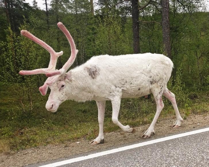 Kādam tiescaronām paveicās ... Autors: Lestets 13 reizes, kad cilvēku spēja pamanīt lietas bija pārsteidzoši laba