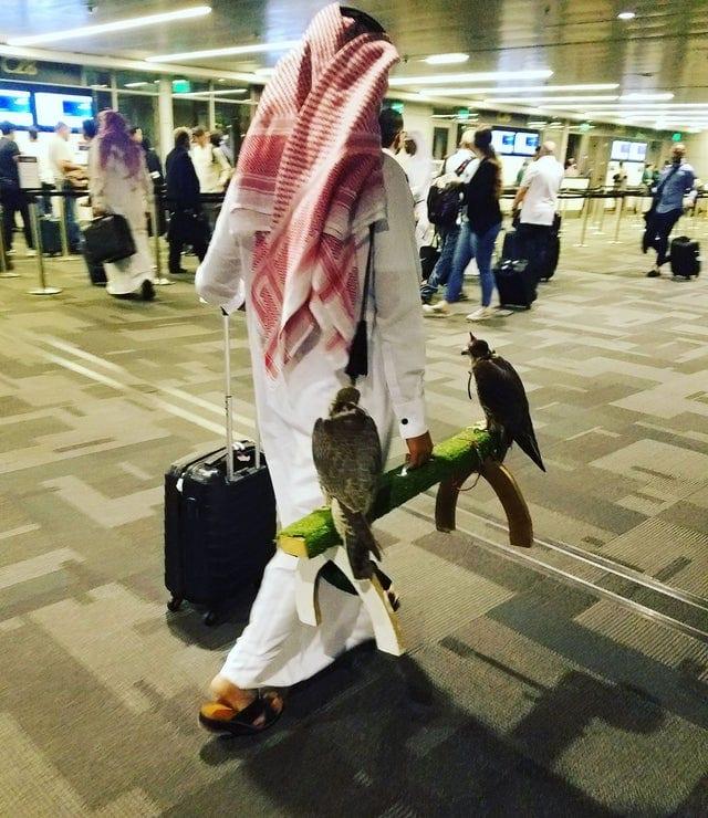 Tipiska diena Kataras lidostā Autors: Zibenzellis69 17 kadri, kas parāda, ka gaidīšana lidostā dažkārt mēdz būt aizraujoša