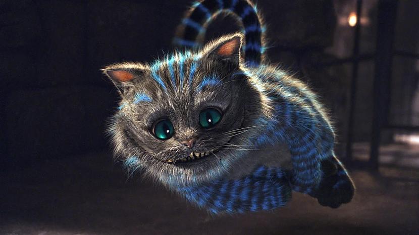 1 Bonuss Čescaronīras kaķis no... Autors: Zibenzellis69 14 spilgti ekrāna kaķi, kuri tika galā ar savu lomu filmā, kā jebkurš aktieris