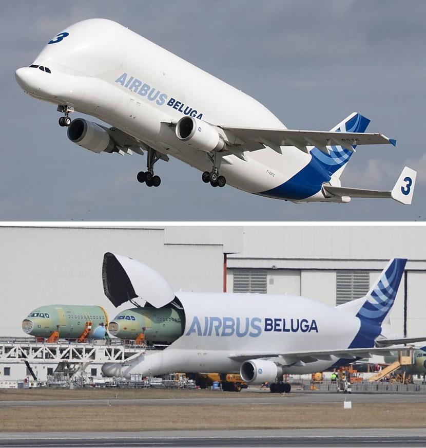 Airbus A300600ST... Autors: Zibenzellis69 17 no dīvainākajām un neparastākajām lidmašīnām, kas jebkad ir pacēlušās gaisā