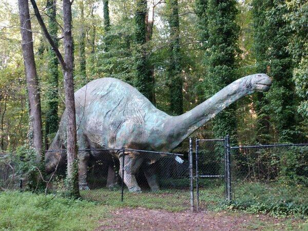 Dinozauru parks Ziemeļkarolīnā... Autors: Zibenzellis69 Vietās, kur cilvēka kājas sen nav staigājušas, ir kaut kas burvīgs un aizraujošs