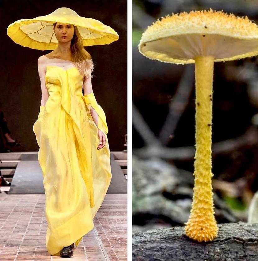Yohji Yamamoto un zelta... Autors: Zibenzellis69 Modes blogere parādīja, cik ļoti daba iedvesmo modes dizainerus veidojot tērpus
