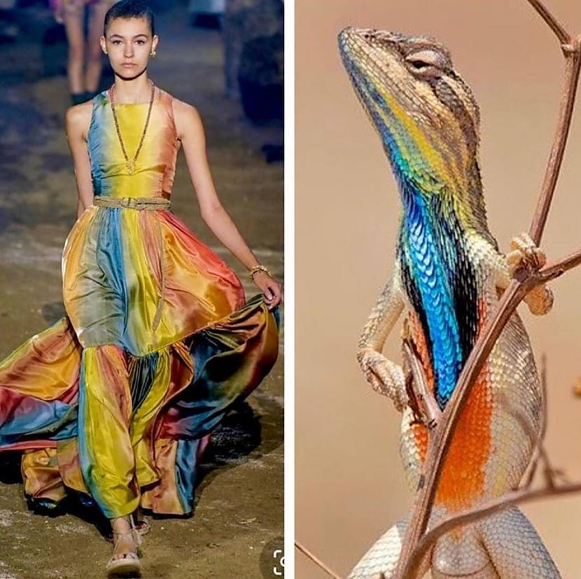 Dior un Sarada Superba Autors: Zibenzellis69 Modes blogere parādīja, cik ļoti daba iedvesmo modes dizainerus veidojot tērpus
