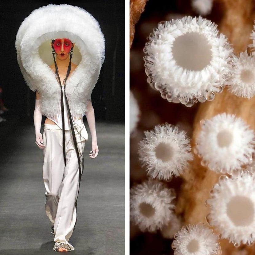 ACT Ndeg1 un Tiny Snowball... Autors: Zibenzellis69 Modes blogere parādīja, cik ļoti daba iedvesmo modes dizainerus veidojot tērpus