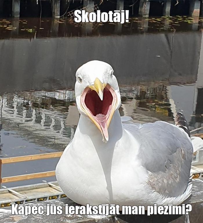  Autors: klanu kaķi Memes