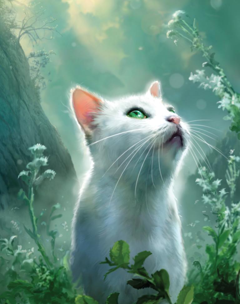  Autors: klanu kaķi Klanu kaķu vārdi angliski