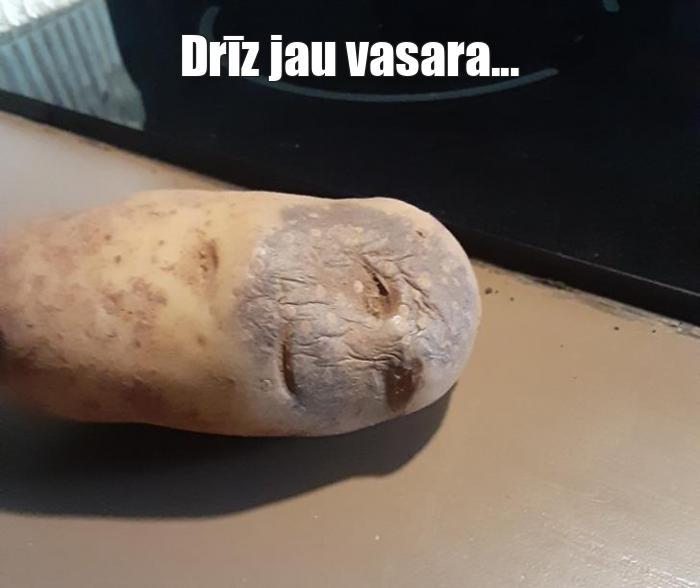  Autors: Vārpiņa Memes