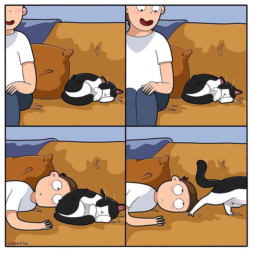 Nē tā nevar darīt Autors: Zibenzellis69 Vitāli, smieklīgi komiksi, kurus lieliski sapratīs ikviens, kuram mājās ir kaķis