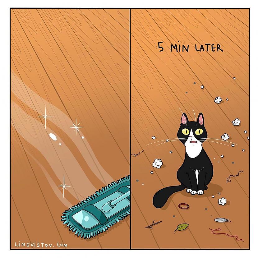 Piecas minūtes pēc... Autors: Zibenzellis69 Vitāli, smieklīgi komiksi, kurus lieliski sapratīs ikviens, kuram mājās ir kaķis
