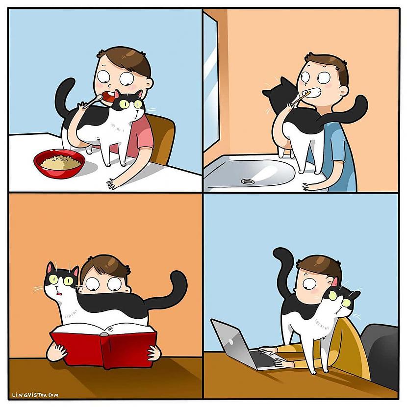 Kaķi var būt jebkur un visur... Autors: Zibenzellis69 Vitāli, smieklīgi komiksi, kurus lieliski sapratīs ikviens, kuram mājās ir kaķis