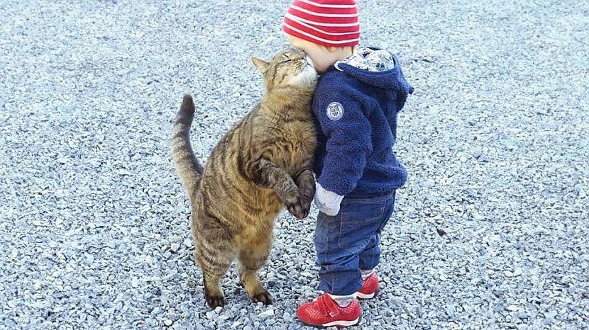 Autors: Zibenzellis69 Kad tu esi mans vienīgais īpašais draugs 👶❤️🐱 Mīļi kaķi un cilvēkbērns