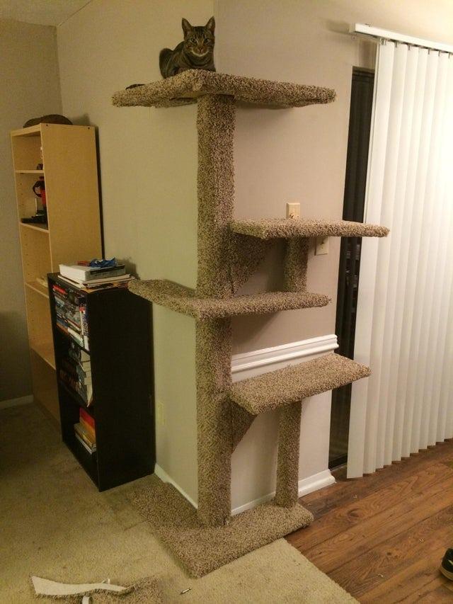 Es izstrādāju torni kaķiem lai... Autors: Zibenzellis69 Foršas un diezgan nepārprotamas lietas, ko cilvēki ir izgatavojuši savām rokām
