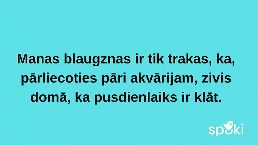  Autors: The Diāna Jociņu izlase garastāvokļa uzlabošanai (17 attēli)