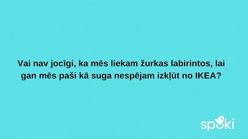  Autors: The Diāna Jociņu izlase garastāvokļa uzlabošanai (17 attēli)