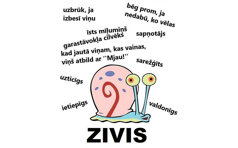  Autors: The Diāna Īsais Zodiaka zīmju raksturojums. Noskaidro, kāds cilvēks tu esi!