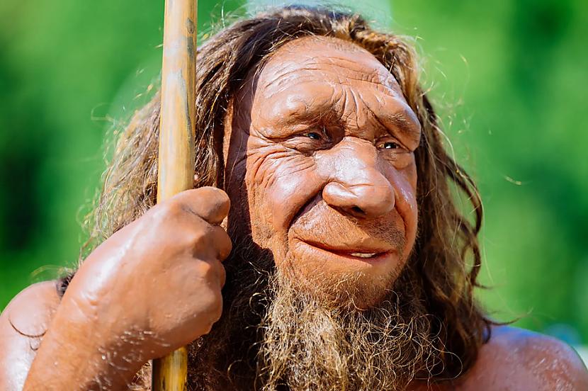 4 Neandertāliescaronu un... Autors: Lestets 9 zinātniskie atklājumi 2024. gadā