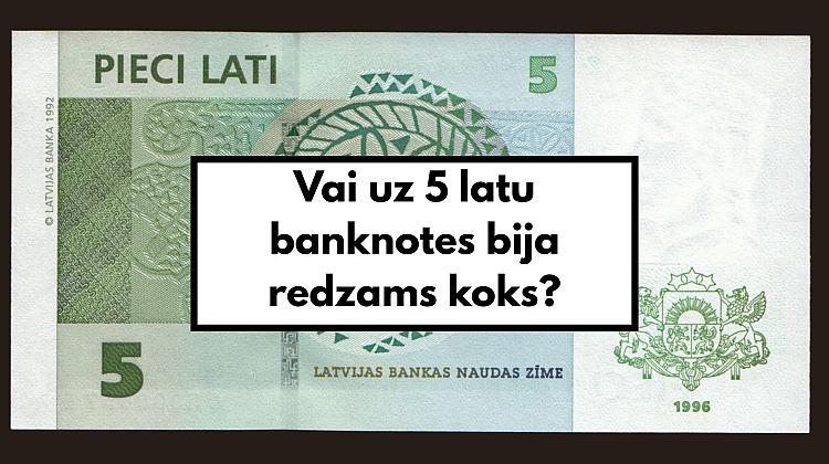 Ātrais «jā» un «nē» tests. Pārbaudi savas zināšanas!