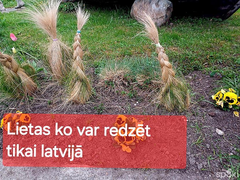 Lietas ,ko var redzēt tikai Latvijā.... - Spoki