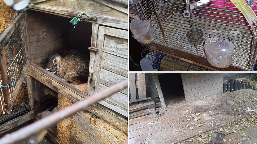 Vēl Bauskas novadā veikta... Autors: matilde PVD no nepiemērotiem apstākļiem izņēmis vairāk nekā 40 suņus un citus dzīvniekus