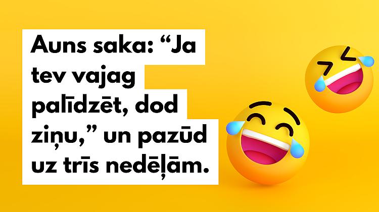 10 īsi un rēcīgi horoskopa joki par Auniem