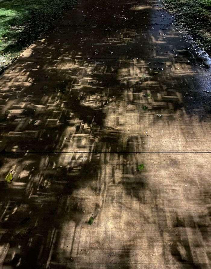 Ēnas no ielu laternas un... Autors: Zibenzellis69 Ēnu maģija: 18 fotoattēli, kuros ēna izrādījās neparastāka par pašu objektu