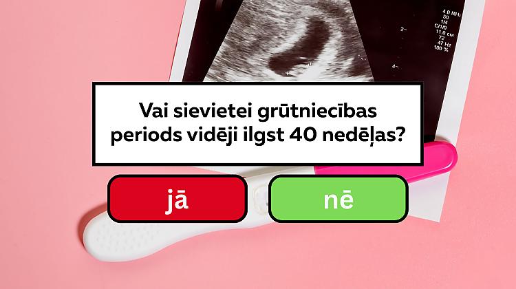 Ātrais «jā» un «nē» tests. Pārbaudi savas zināšanas!