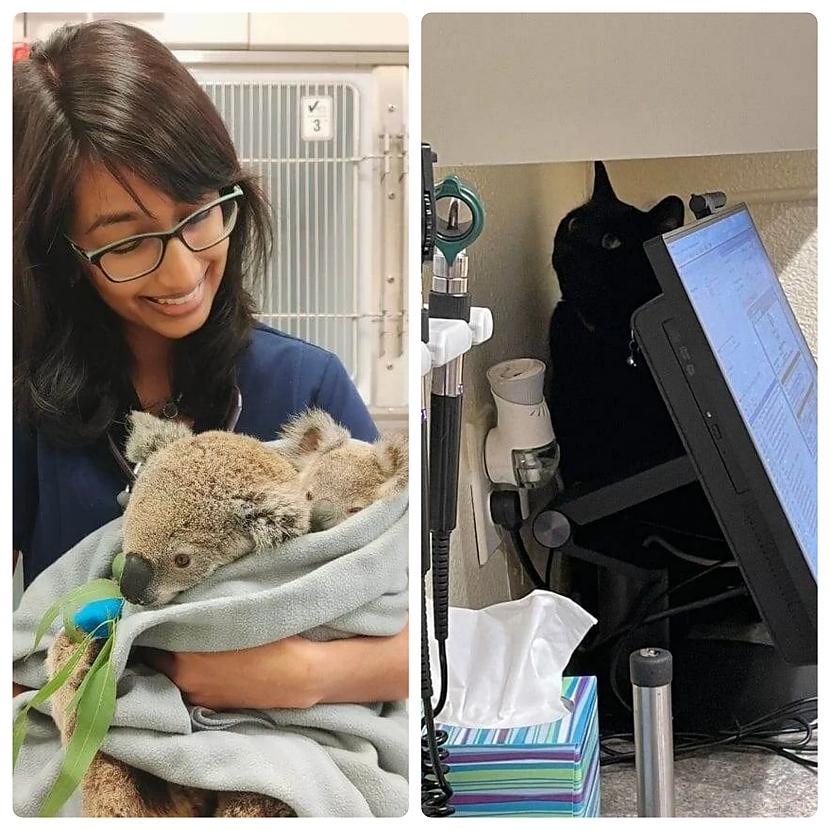 Bet cik brīniscaronķīgi ka... Autors: Zibenzellis69 Pūkaini un nedaudz smieklīgi, bet mīļi pacienti no veterinārārstu dzīves ❤️