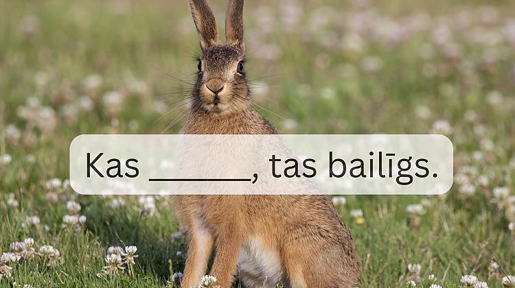 Tests: Ievieto trūkstošo vārdu šajos latviešu sakāmvārdos un parunās