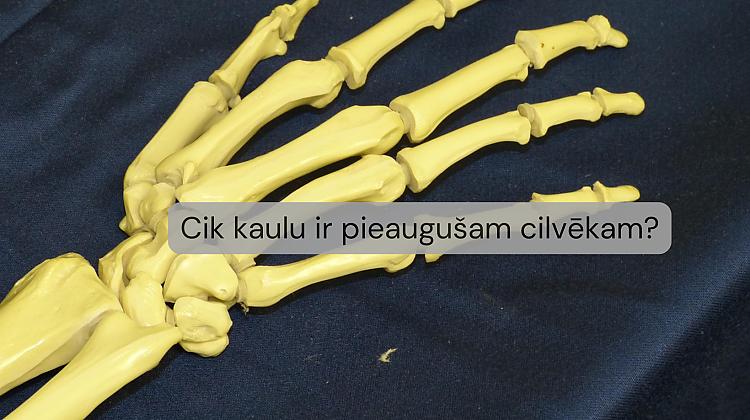Tests: Vai zini, ko latviešu valodā nozīmē šie 10 vārdi? - Spoki